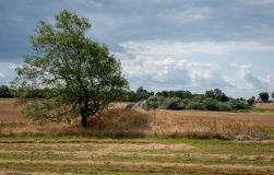 Blæsinge Jættestue