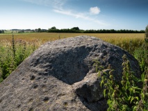 Reerslev Rævsbjerg Megalitgrav
