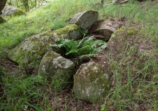 Ruds Vedby Langdysse 2