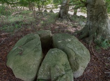 Ruds Vedby Langdysse 1