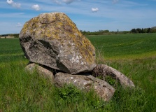 Saltofte Langdysse 2