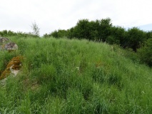 Lille Knapstrup Langdysse