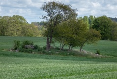 Nørre Vallenderød Langdysse 2
