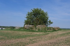Ågerup Husbjerg Langdysse - PID:166452