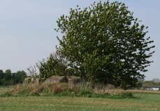 Ågerup Husbjerg Langdysse - PID:166453