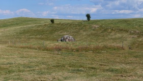 Ris Megalitgrav