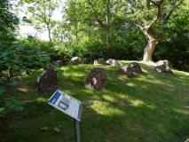 Kårup Skov Langdysse