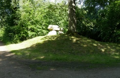 Grevinge Skov Runddysse 2