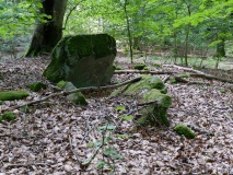 Bjergstedskoven Runddysse 2