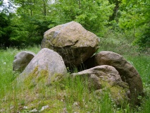 Nordskov Runddysse