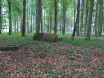 Broby Vesterskov Runddysse 5