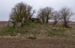 Førslev Runddysse 2