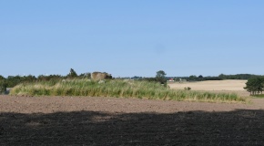 Kirke Stillinge Grimskærdysse