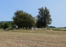 Kirke Stillinge Rørdysse