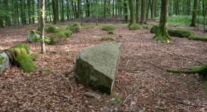 Charlottedal Skov Langdysse 2