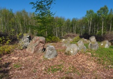 Syllinge Skov Langdysse