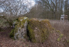 Rejnstrup Megalitgrav