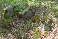 Rappenborg Skov Langdysse 1