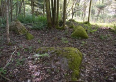 Rappenborg Skov Langdysse 2