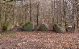 Ingelstrup Stenkildedyssen