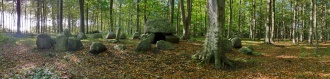 Knudsby Skov Langdysse 1