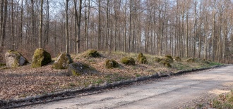 Stubberup Skov Junkershøj Langdysse