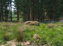 Fredskoven Megalitgrav