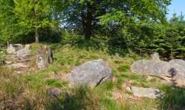 Fredskoven Langdysse