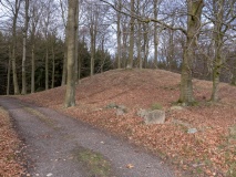 Kalvehave Mark Jættestue