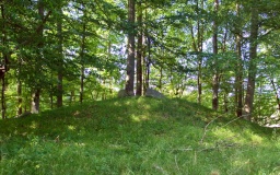 Næsbyholm Skov Runddysse