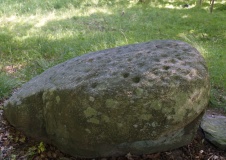 Næsbyholm Skov Runddysse