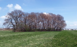 Toftehavegård Langdysse