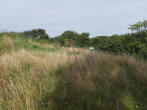 Svanninge Skerninge Høj Jættestue