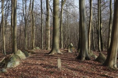 Gammel Fredskov Langdysse