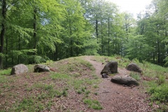 Ringelmose Skov Langdysse 3