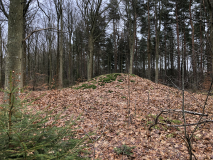 Hornbæk Plantage Rundhøj 5