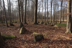 Gammel Fredskov Langdysse
