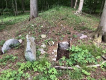 Bonderup Skov Langdysse 1