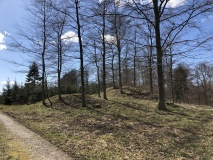 Næsbyholm Storskov Rundhøj 1