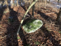 Glumsø Østerskov Langdysse 5