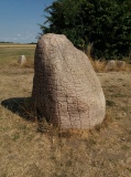 Vikingeborgen Trelleborg