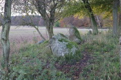 Dyrlev Skov Langdysse (Udby)