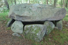 Alleskoven Jættestue
