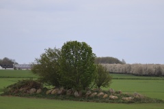 Bildsø Lammedysse