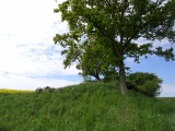 Brattingsborg Langdysse - PID:289672