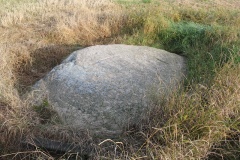 Vasagård cup marked Stone