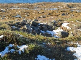Danmark Ø Hut Foundations submitted by DrewParsons