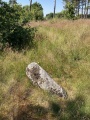 Boeslum Langdysse - PID:274533