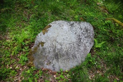 Ringelmose Skov Runddysse 2