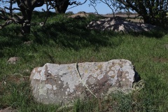 Bildsø Humlebjergsdysse